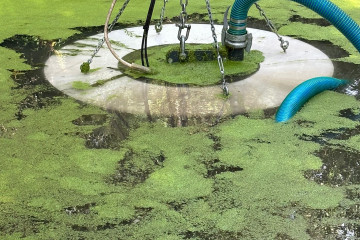 Whatsapp Image 2026 04 21 At 11.15.03 (1)