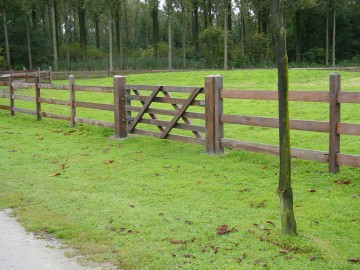 Clôture de prairie