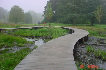 Sentier de promenade dans un marais